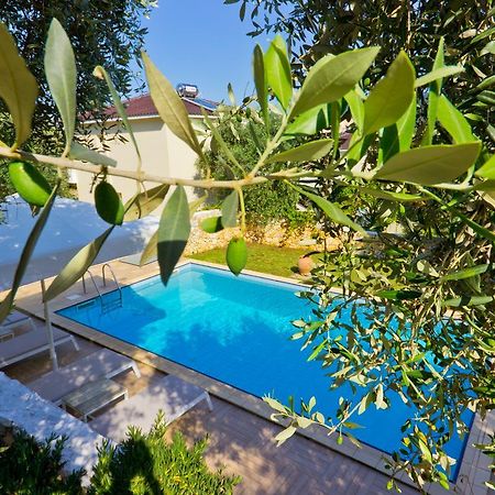 Thassian Villas Limenas  Buitenkant foto